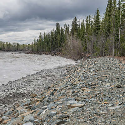 Case Study_Alaska Marketplace_Forest_Kite size_400x400