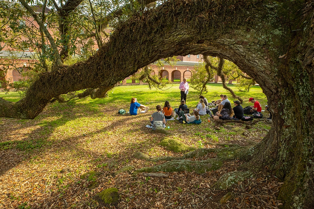 Seated students under oak tree on campus of University of Louisiana at Lafayette listening to professor speak